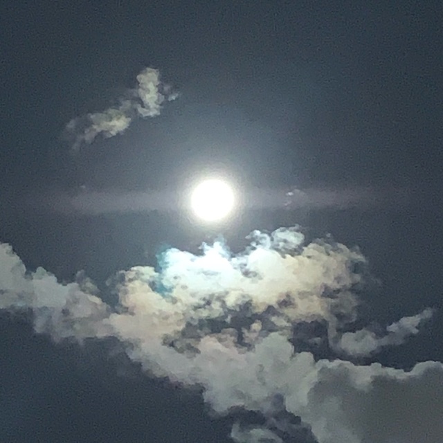 わこ(わーこ)のタイムライン643379-02-17 22:01:57投稿画像