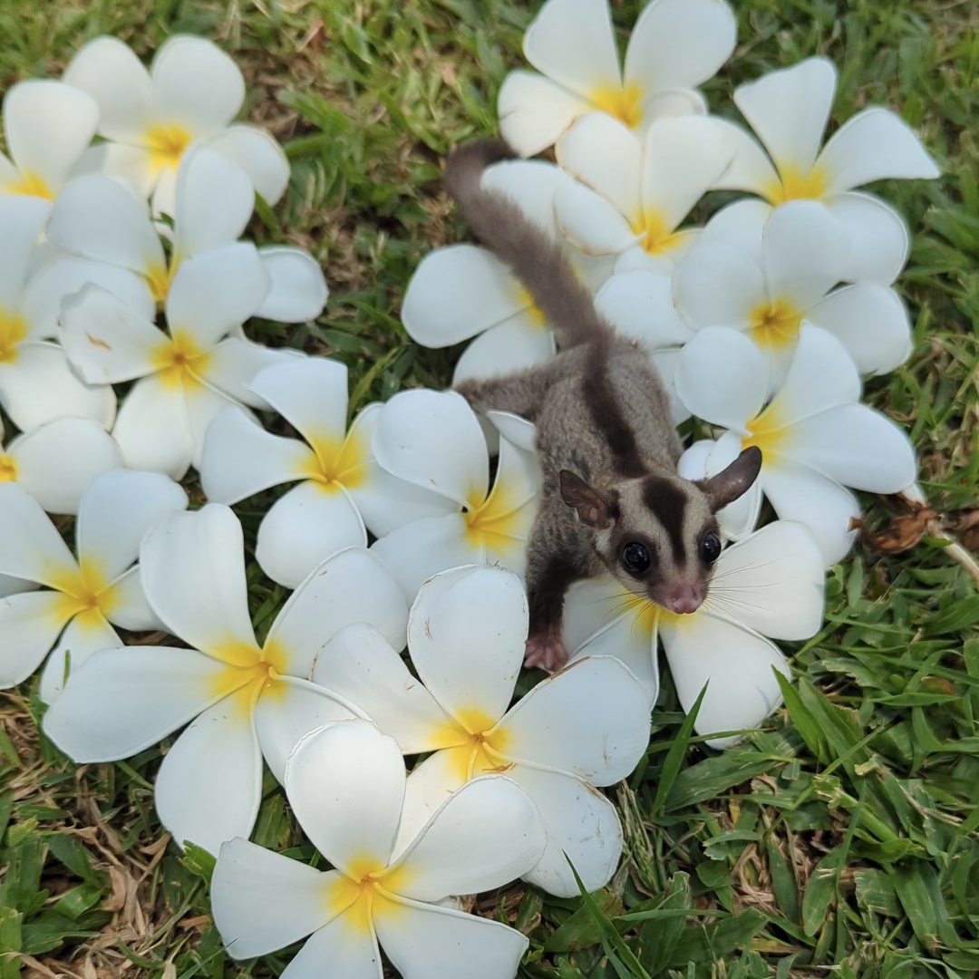 はな🌺のタイムライン643379-03-12 12:40:06投稿画像