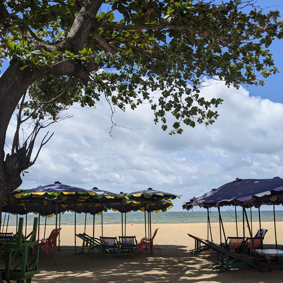 はな🌺のタイムライン643379-04-03 20:13:45投稿画像