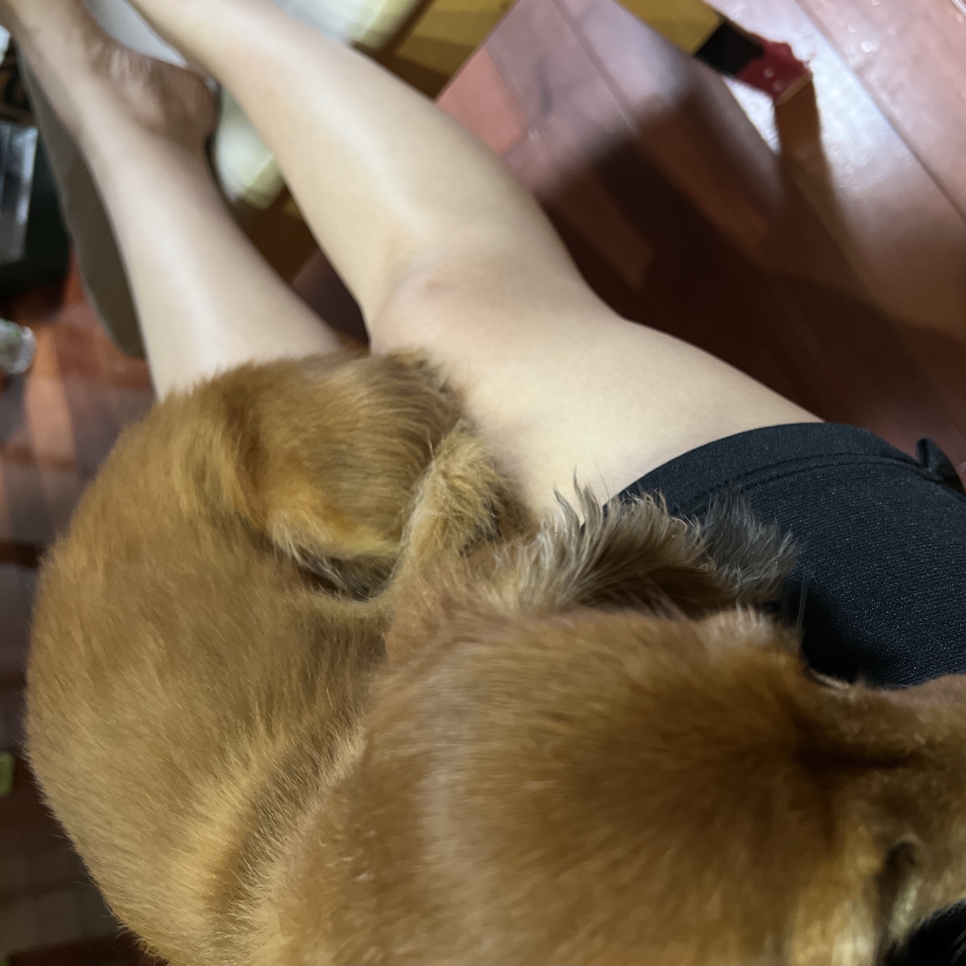 yukiのタイムライン2024-10-01 13:05:08投稿画像