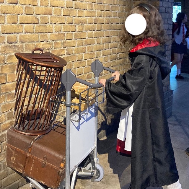 絹のタイムライン643381-11-19 17:44:02投稿画像