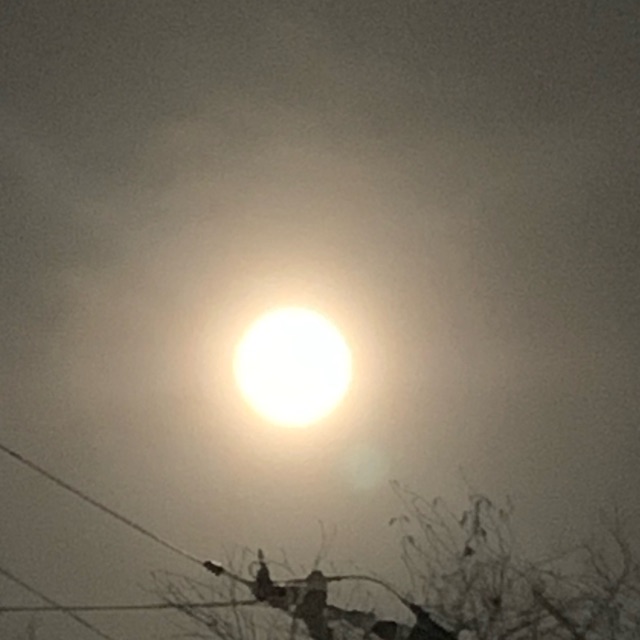 わこ(わーこ)のタイムライン643382-04-20 06:02:16投稿画像