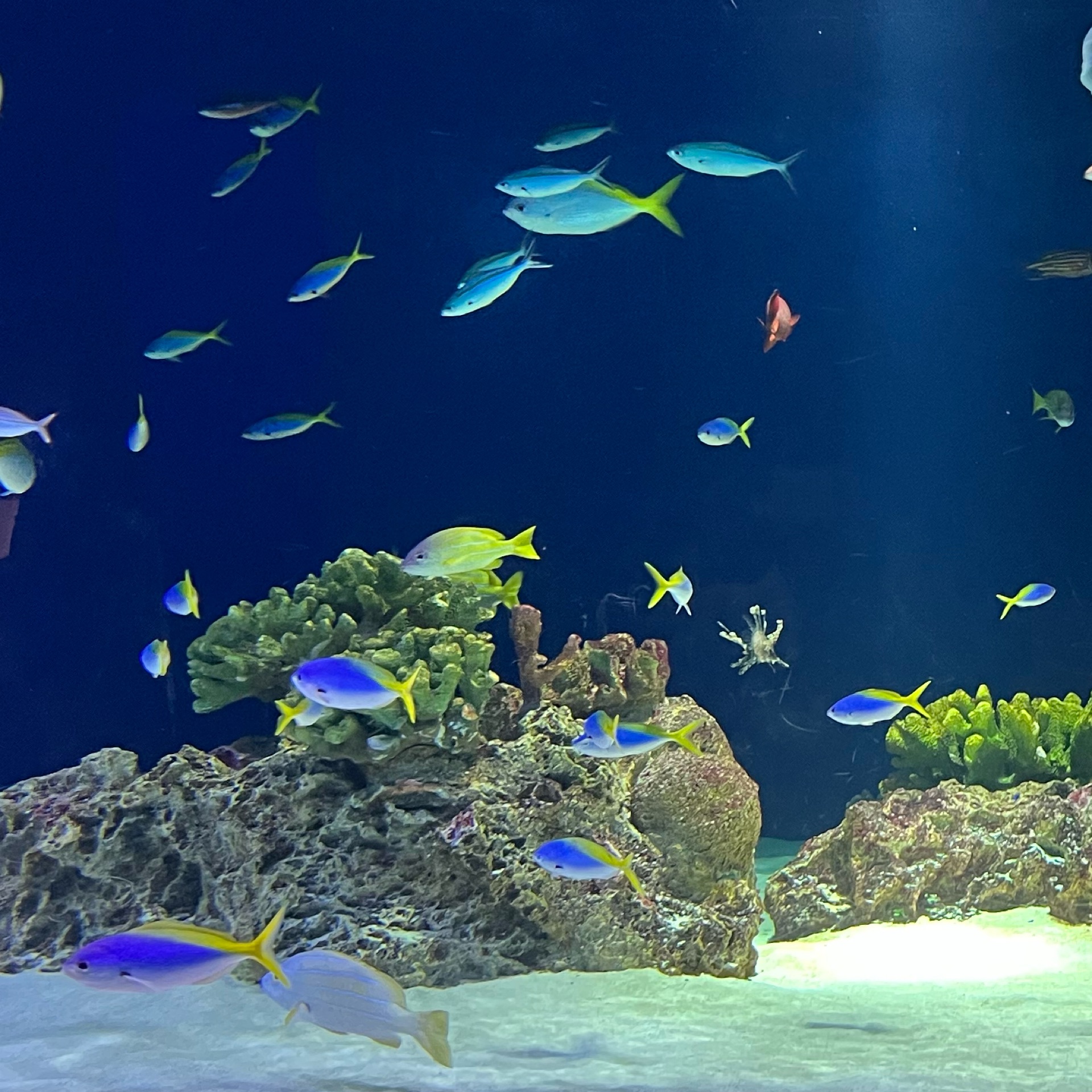 Emmaのタイムライン643382-05-24 22:45:57投稿画像