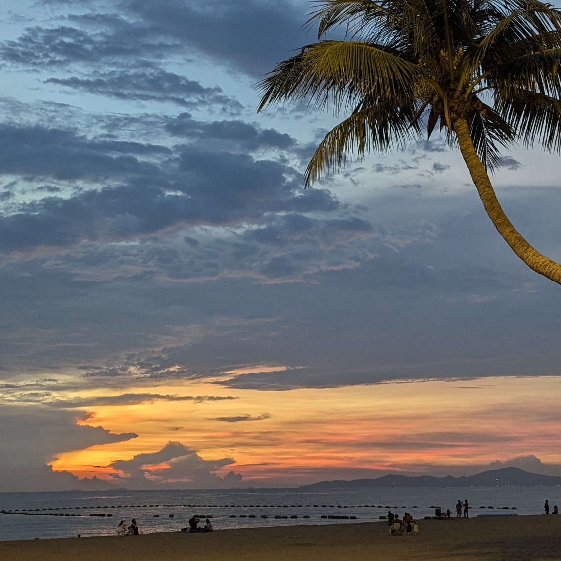 はな🌺のタイムライン643382-07-31 22:00:50投稿画像