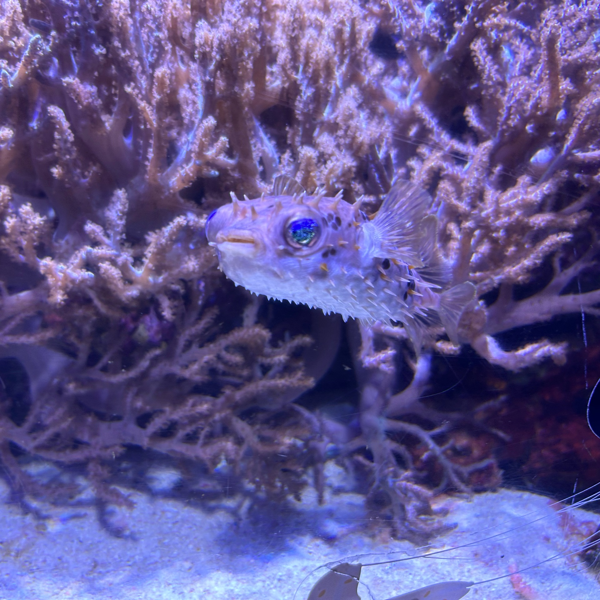 ずちゃんのタイムライン643385-04-11 12:32:14投稿画像