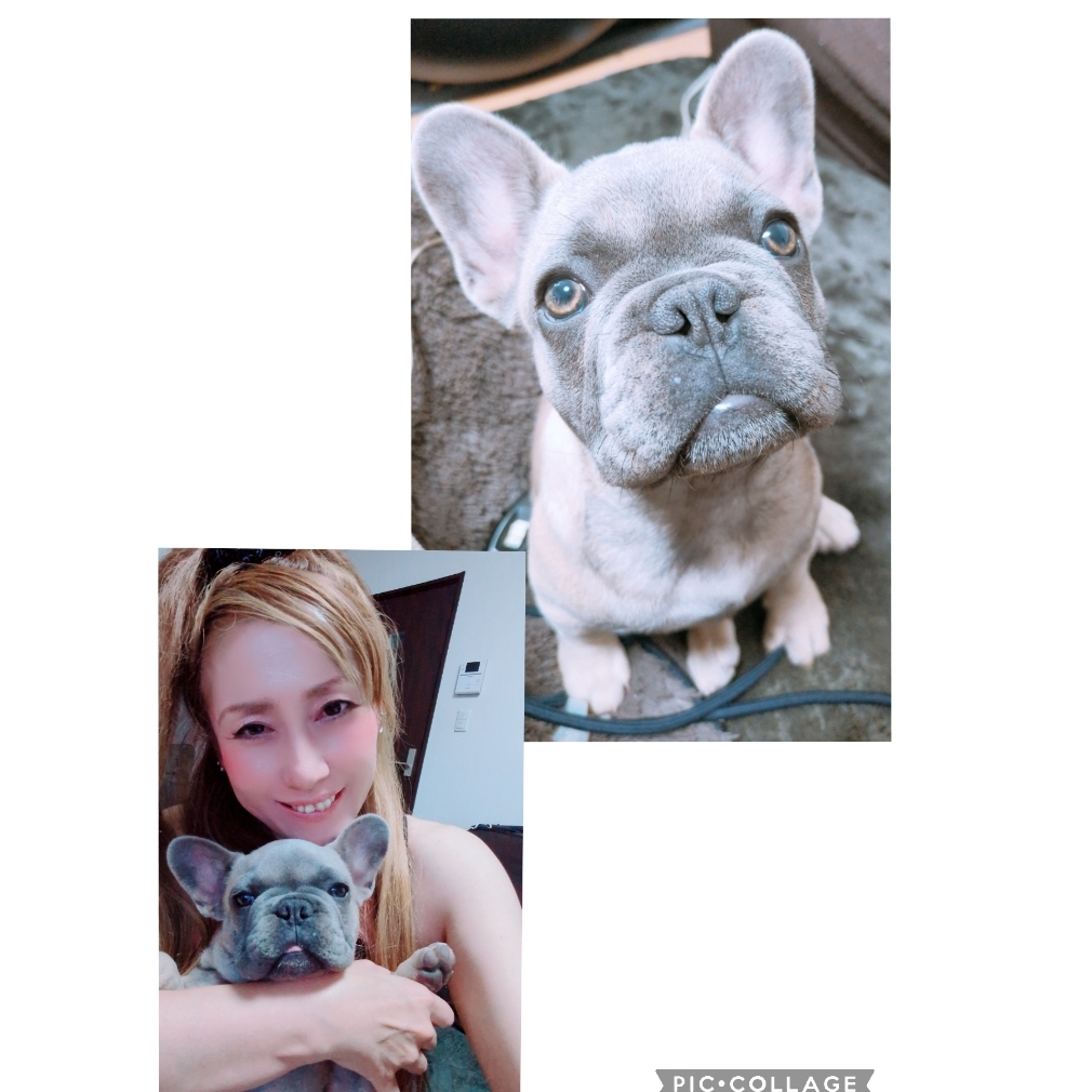 Mariaのタイムライン2024-11-15 13:05:53投稿画像