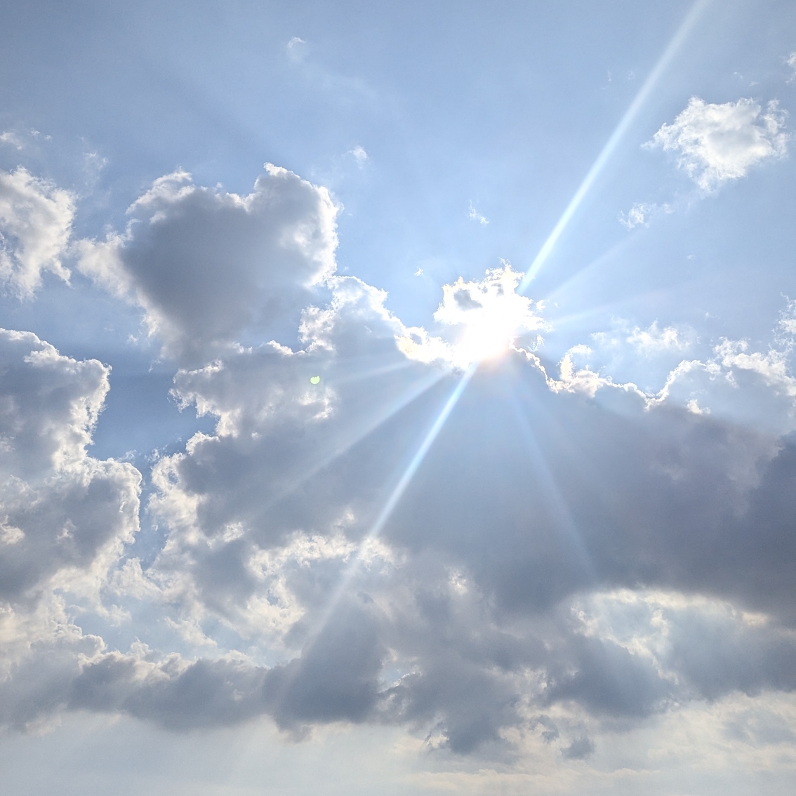 はな🌺のタイムライン643385-08-28 03:30:13投稿画像