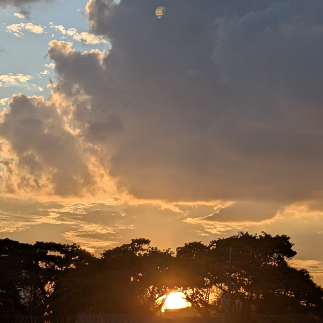 はな🌺のタイムライン643385-08-28 20:39:05投稿画像