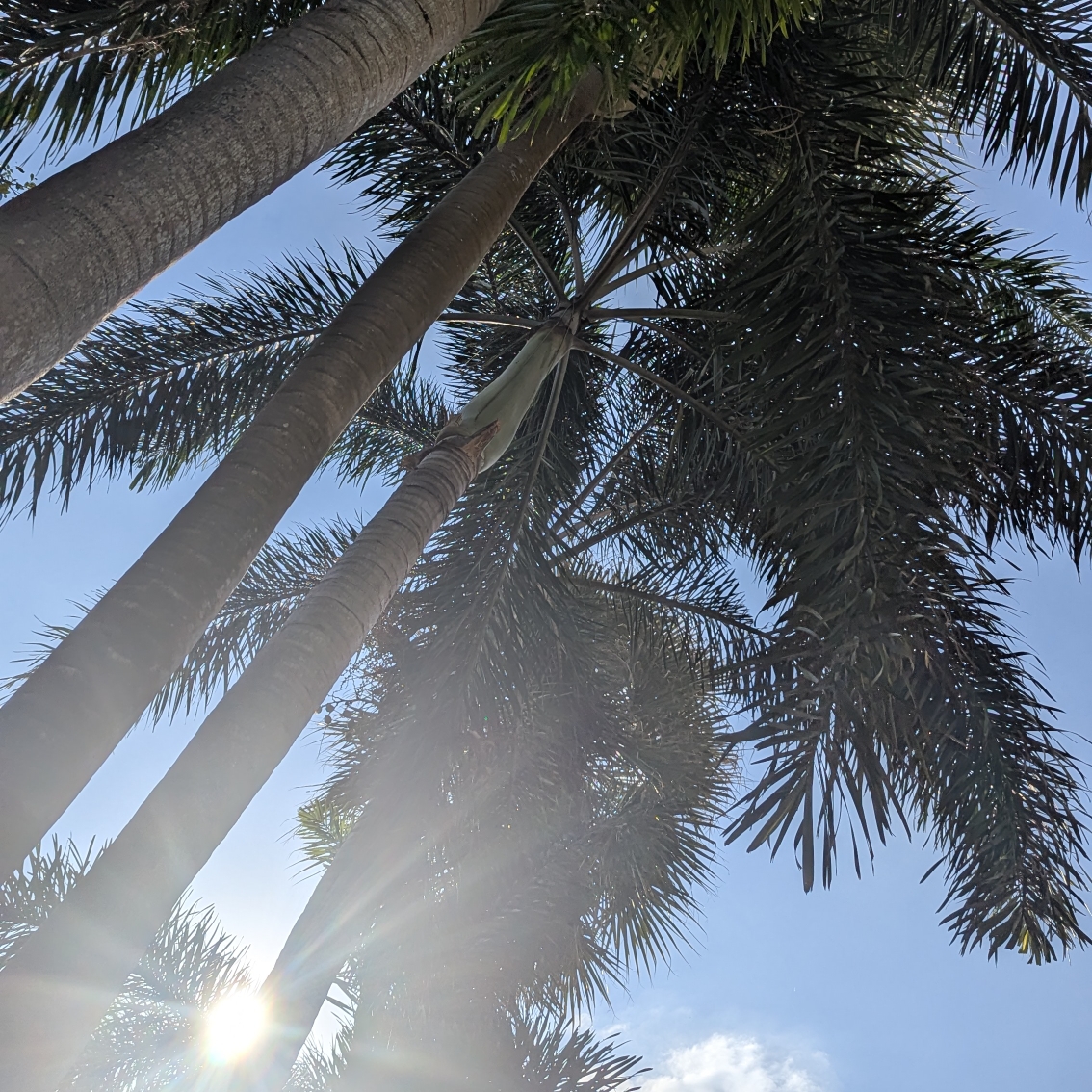 はな🌺のタイムライン643385-10-25 17:40:08投稿画像