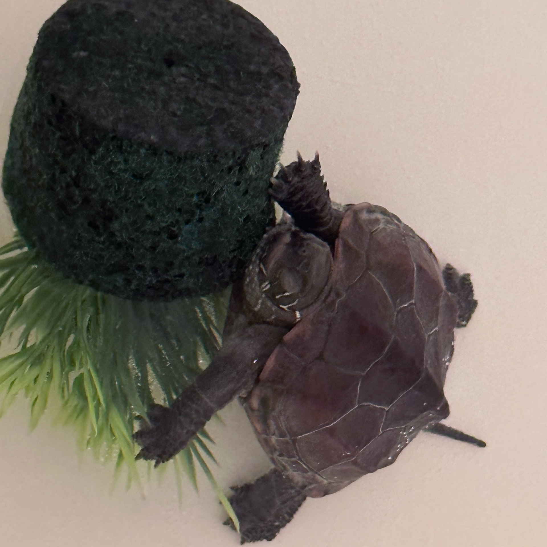 Reinaのタイムライン643385-11-16 14:40:38投稿画像