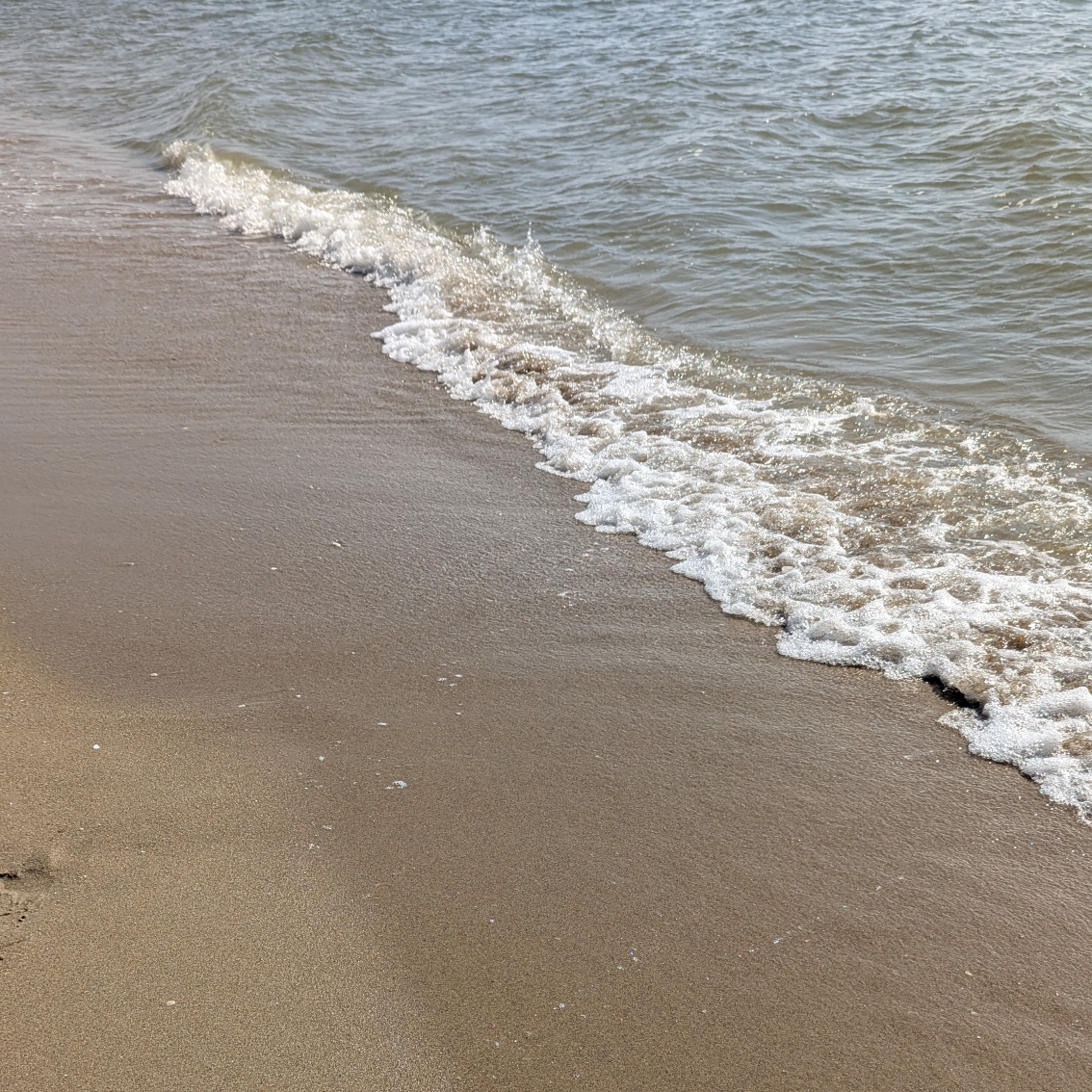 はな🌺のタイムライン643385-11-17 06:35:25投稿画像