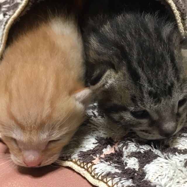 巳穂(みほ)のタイムライン643388-02-27 21:40:30投稿画像