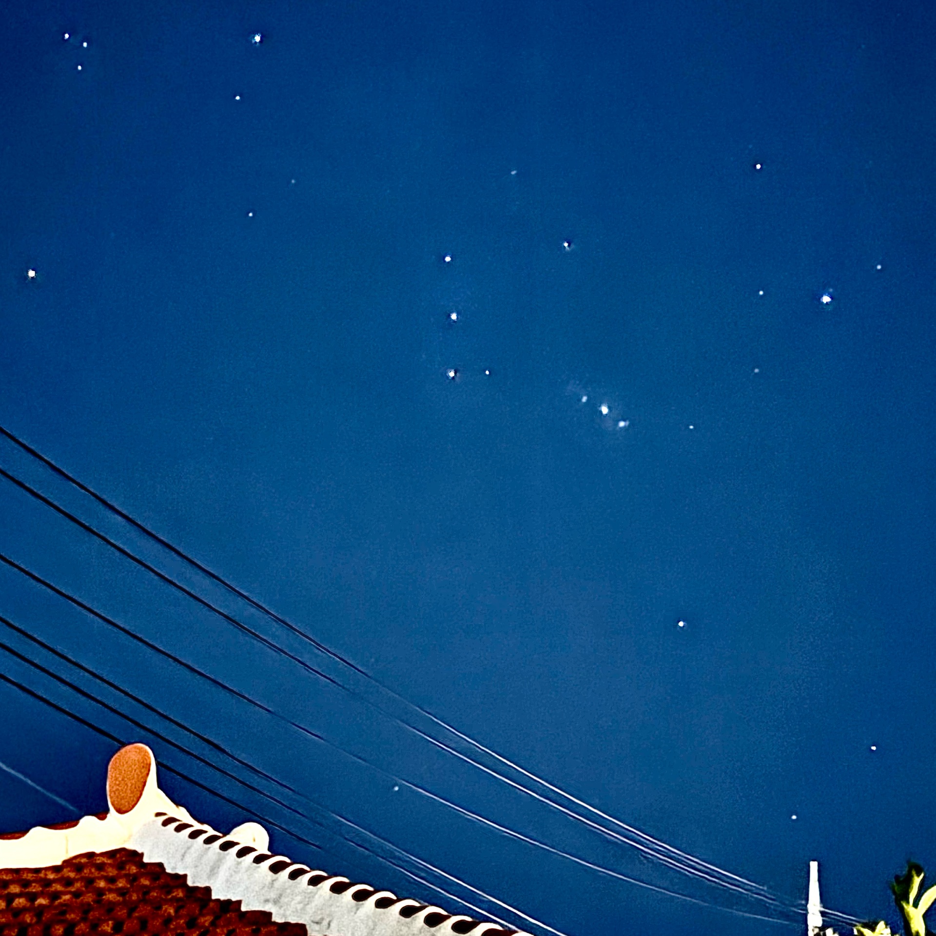 つなのタイムライン643388-04-04 01:22:32投稿画像