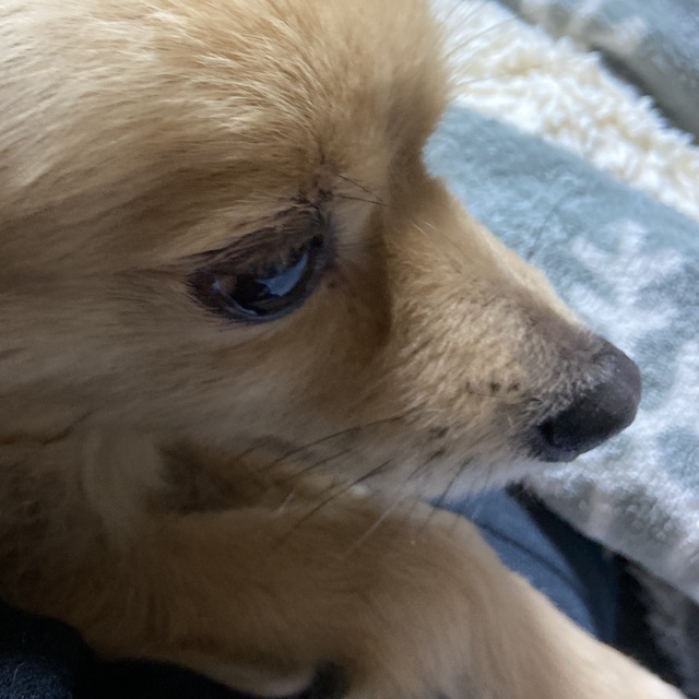 ここにゃんのタイムライン643388-07-16 18:28:37投稿画像