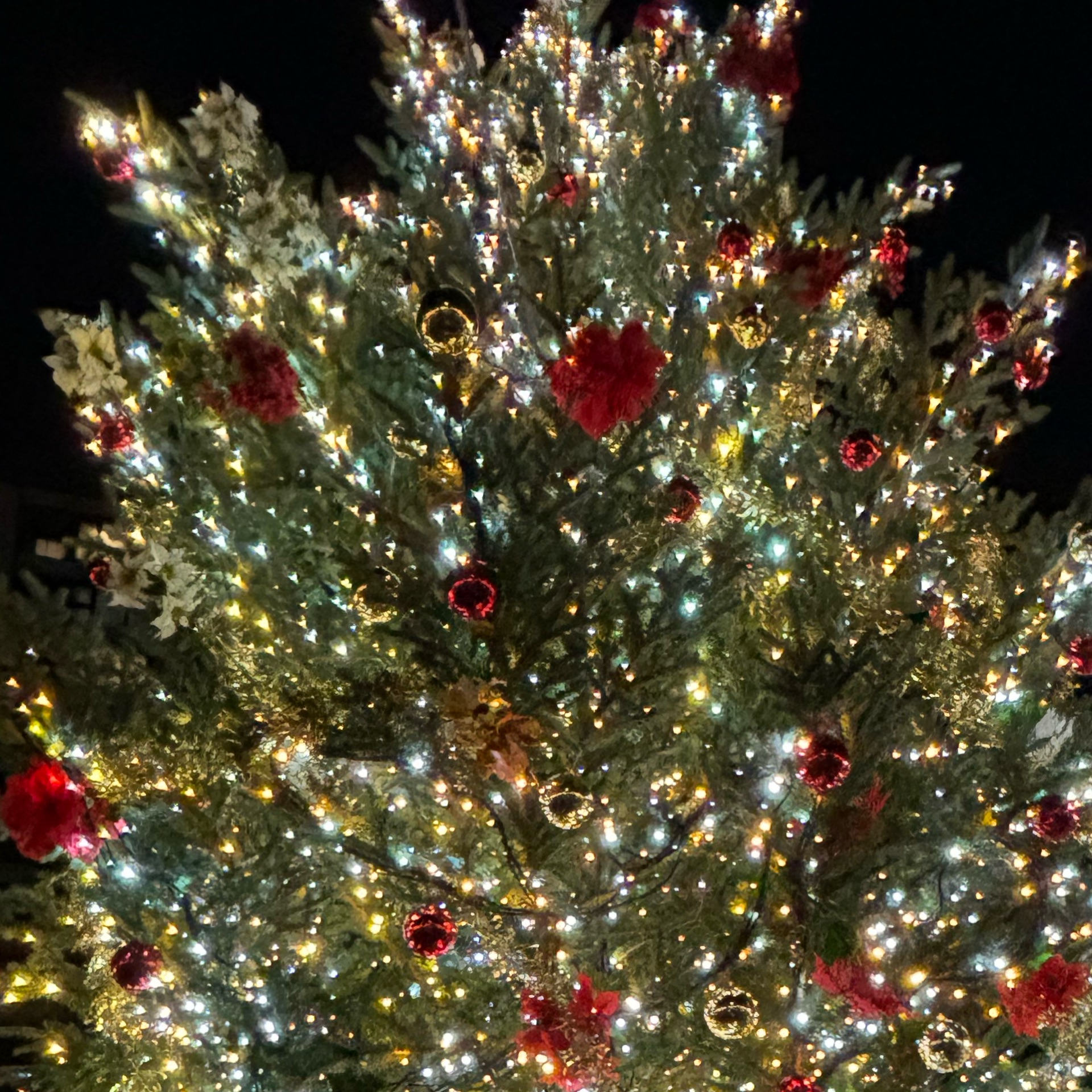 なのタイムライン643388-09-13 16:03:29投稿画像