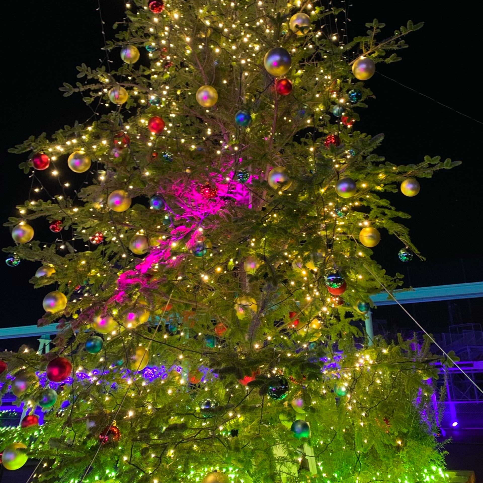 優子先生のタイムライン2024-12-22 00:52:46投稿画像