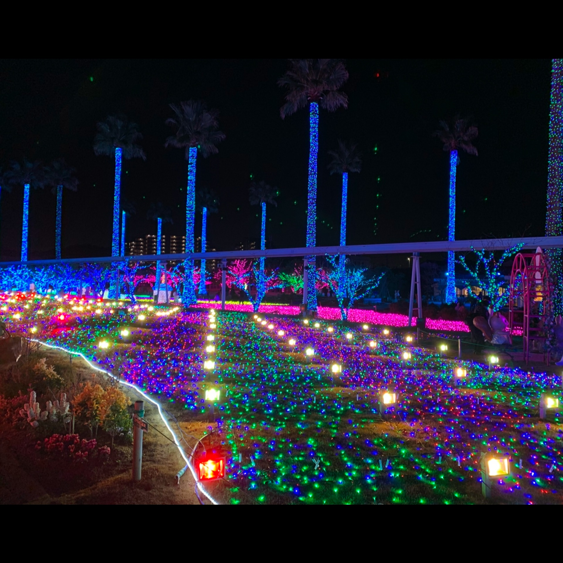 優子先生のタイムライン2024-12-24 01:25:30投稿画像