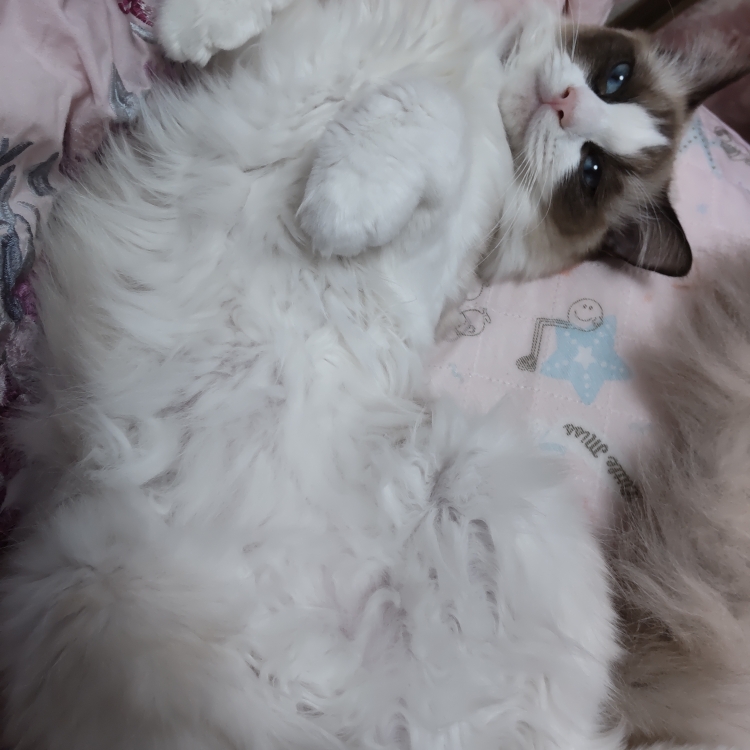 グミのタイムライン2025-01-06 15:37:01投稿画像