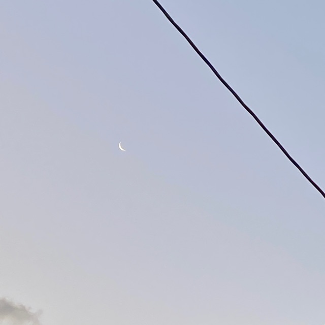 すいのタイムライン643670-07-04 01:05:26投稿画像