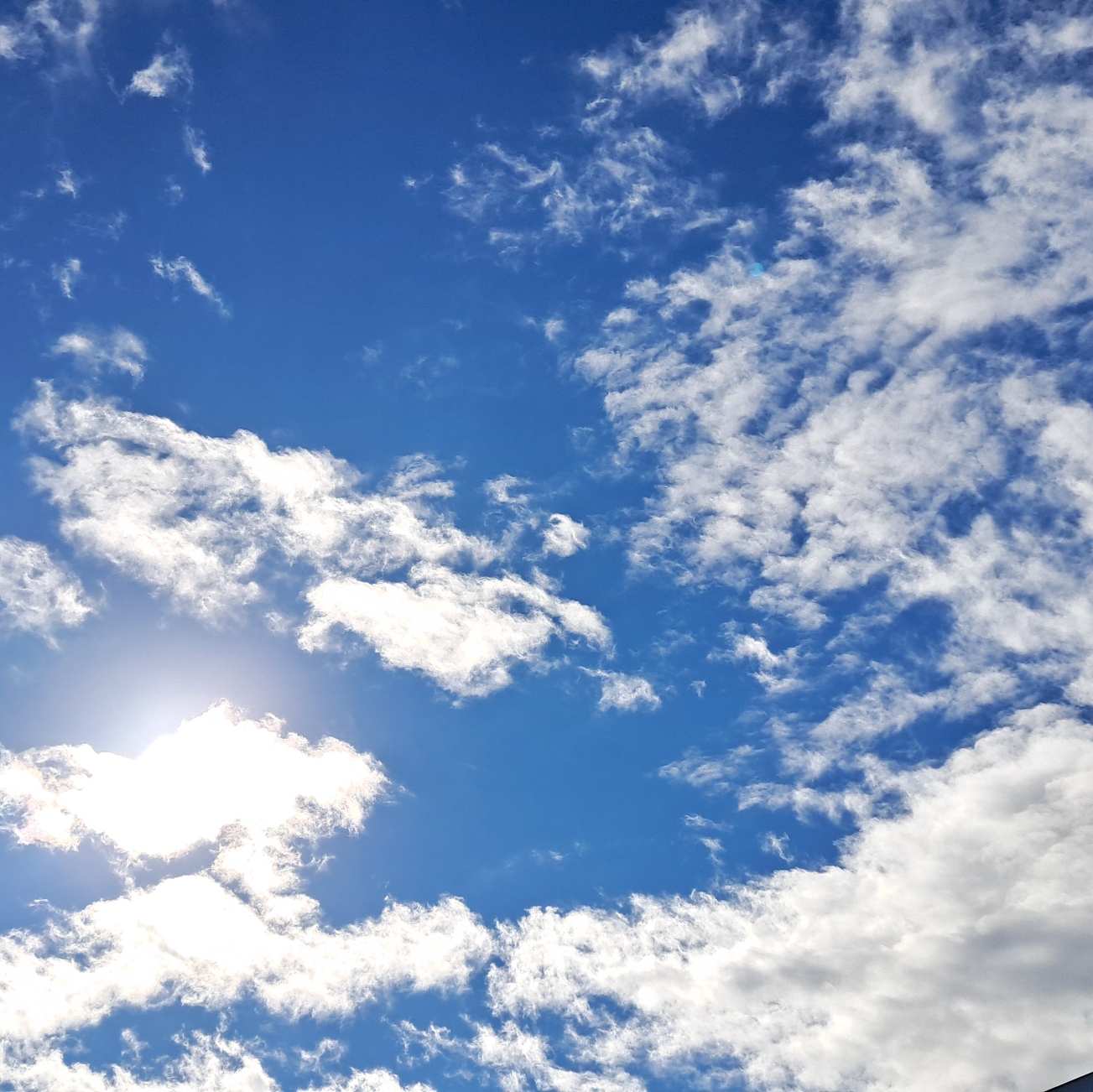 いちのタイムライン643670-12-01 07:38:29投稿画像