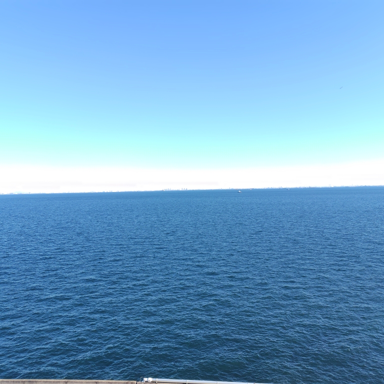 グミのタイムライン2025-01-27 12:54:24投稿画像