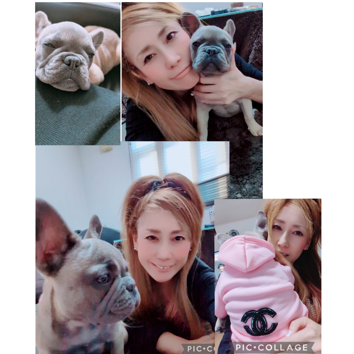 Mariaのタイムライン2025-01-30 06:58:45投稿画像