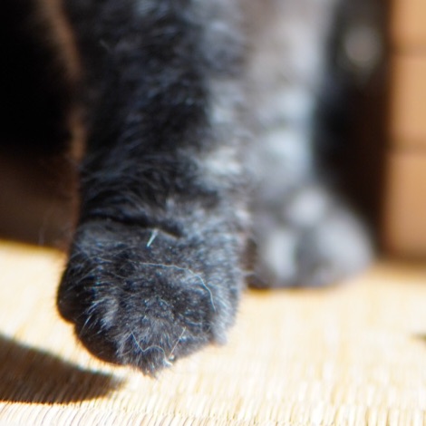 るちゃんのタイムライン643671-02-10 10:30:43投稿画像