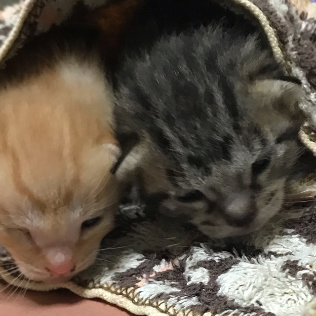 巳穂(みほ)のタイムライン643673-06-16 00:54:12投稿画像