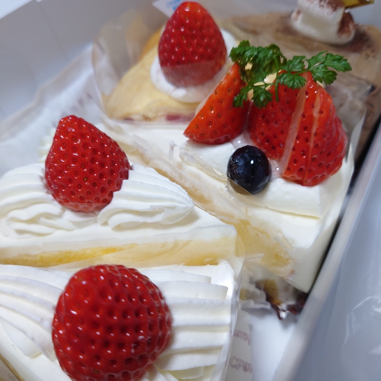 るぅのタイムライン643676-07-24 01:30:00投稿画像