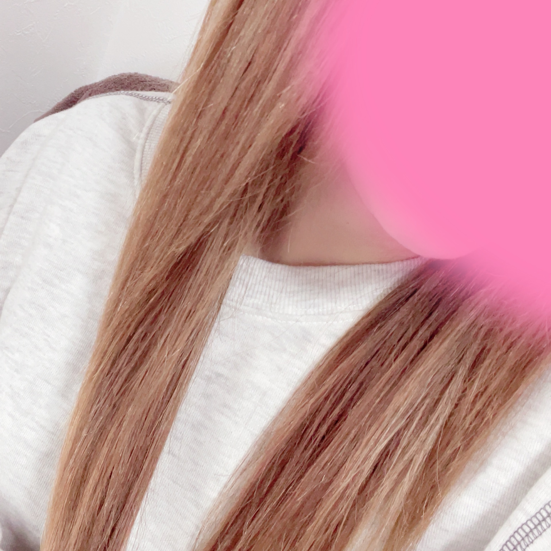 ハチのタイムライン643676-09-19 05:37:24投稿画像