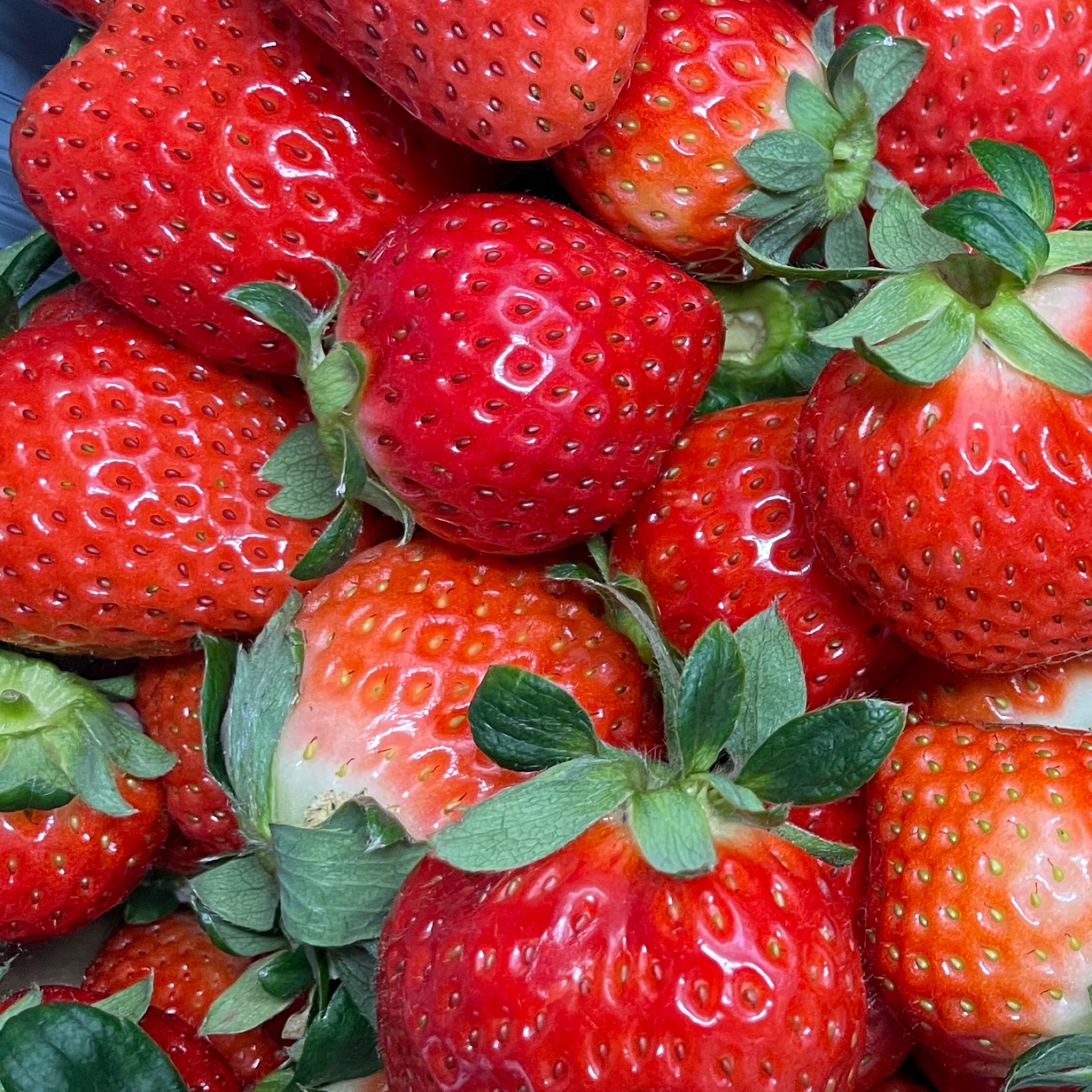 ななのタイムライン643676-11-27 16:22:18投稿画像