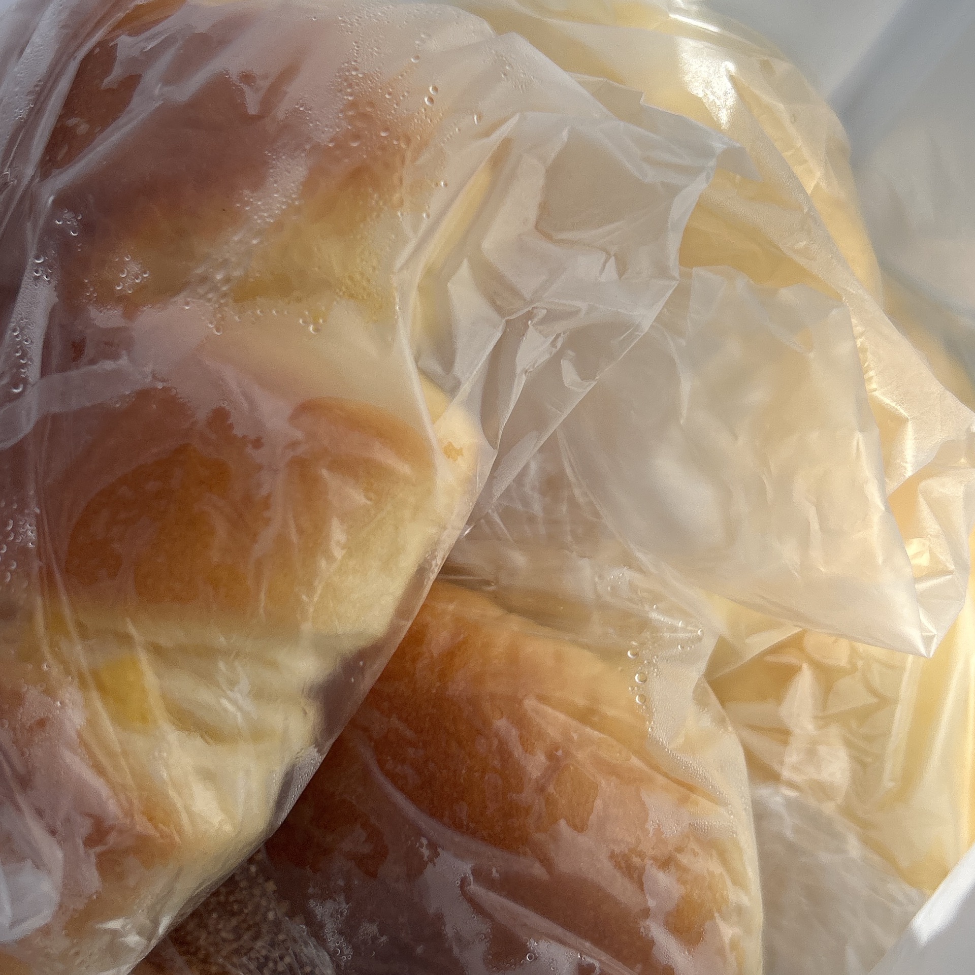 もねのタイムライン643677-02-04 05:35:29投稿画像