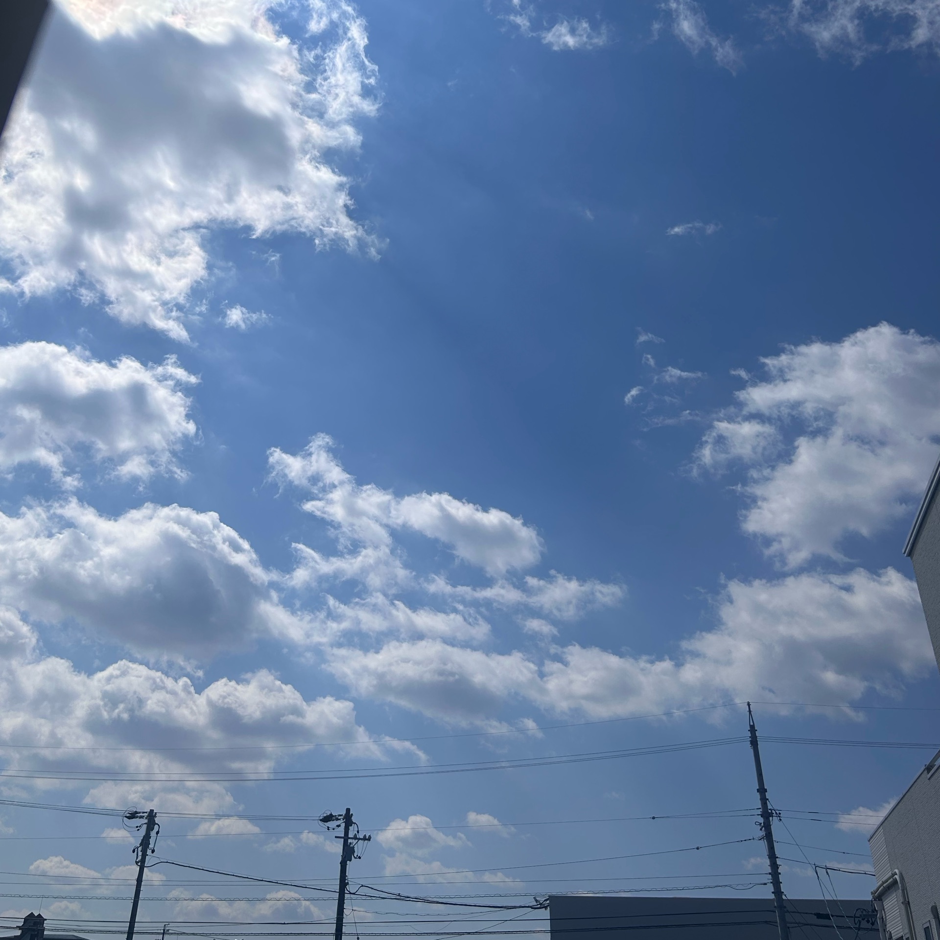 りいこのタイムライン643677-02-04 06:16:52投稿画像