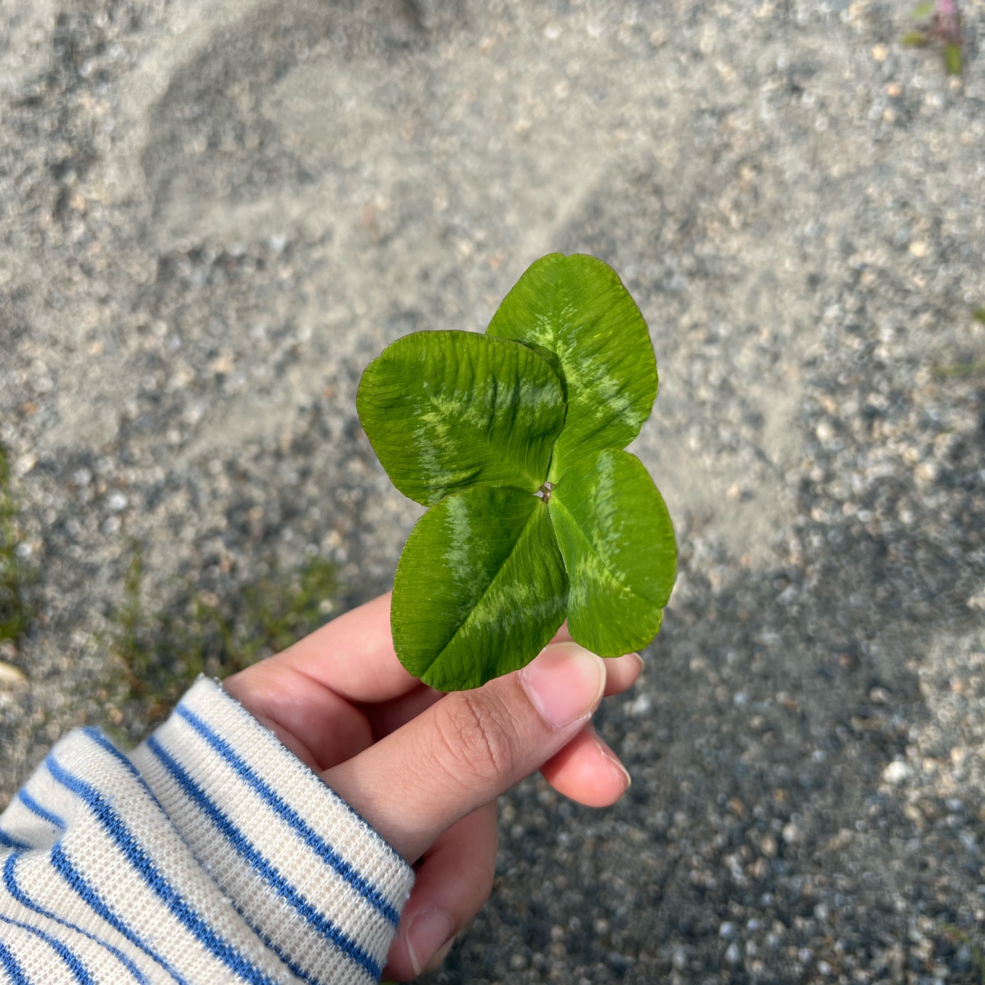 あいのタイムライン643679-09-02 03:51:52投稿画像