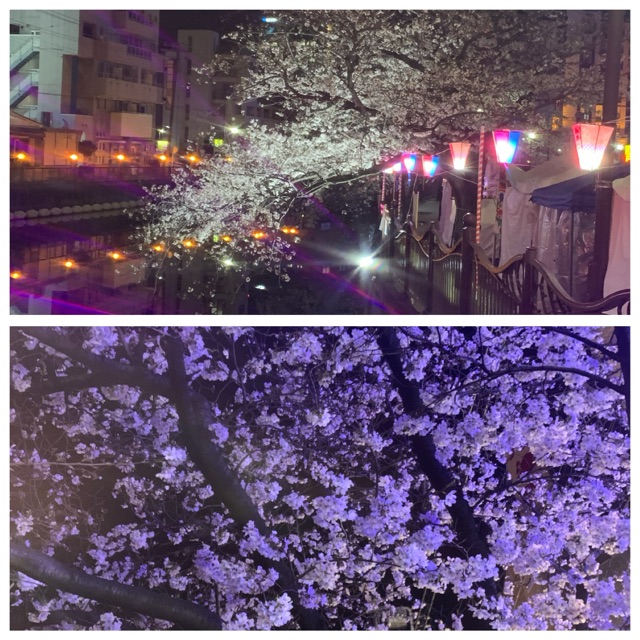 わこ(わーこ)のタイムライン643679-09-24 13:57:20投稿画像