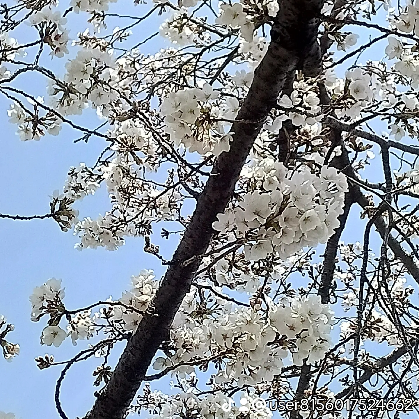 まこりんのタイムライン643679-10-16 13:40:43投稿画像