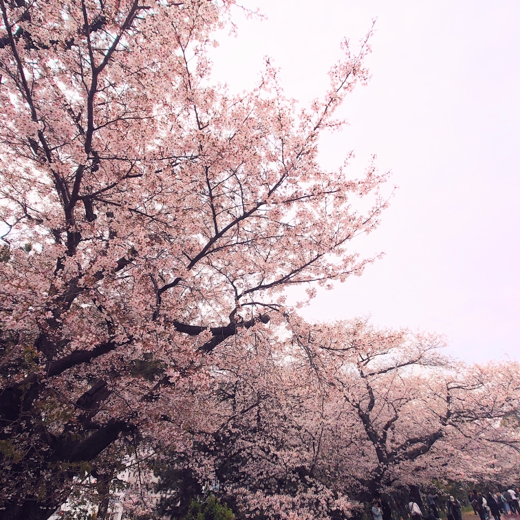 るぅのタイムライン643679-10-17 06:45:01投稿画像