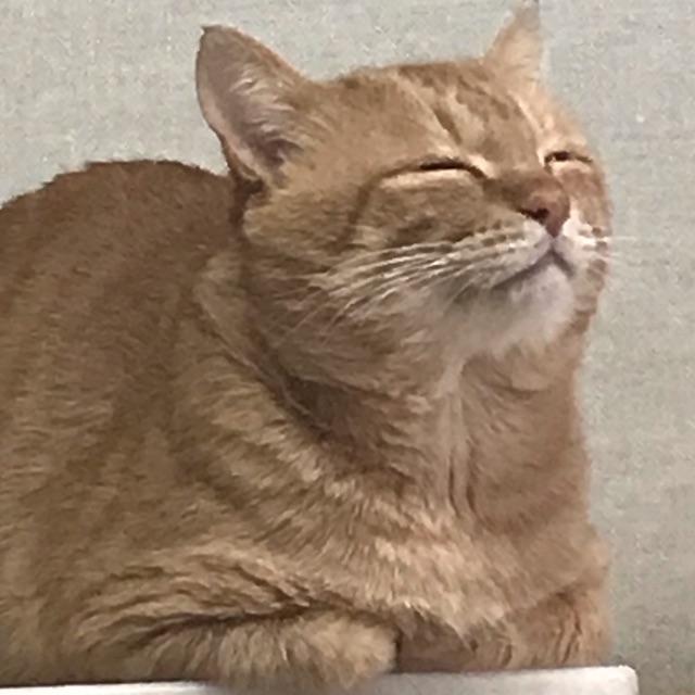 巳穂(みほ)のタイムライン643680-01-28 17:47:17投稿画像