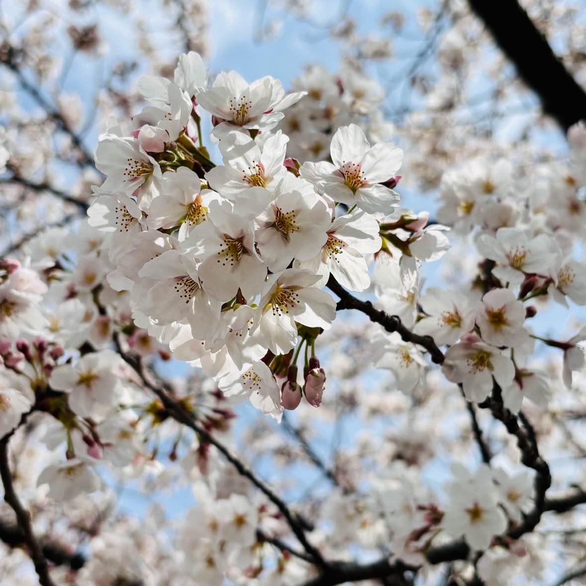 もか☆のタイムライン643680-02-20 08:51:44投稿画像