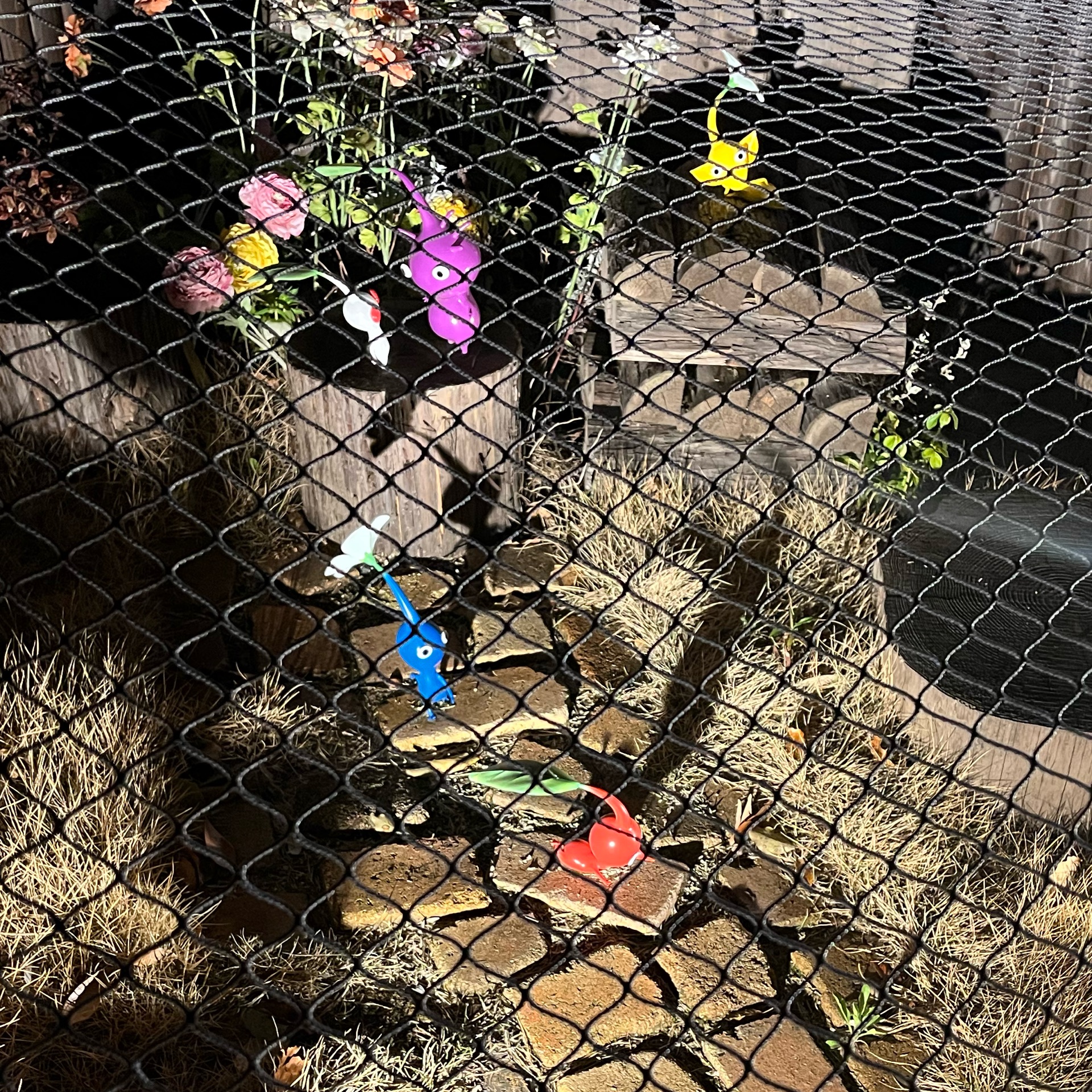 みくのタイムライン643680-03-16 00:05:00投稿画像