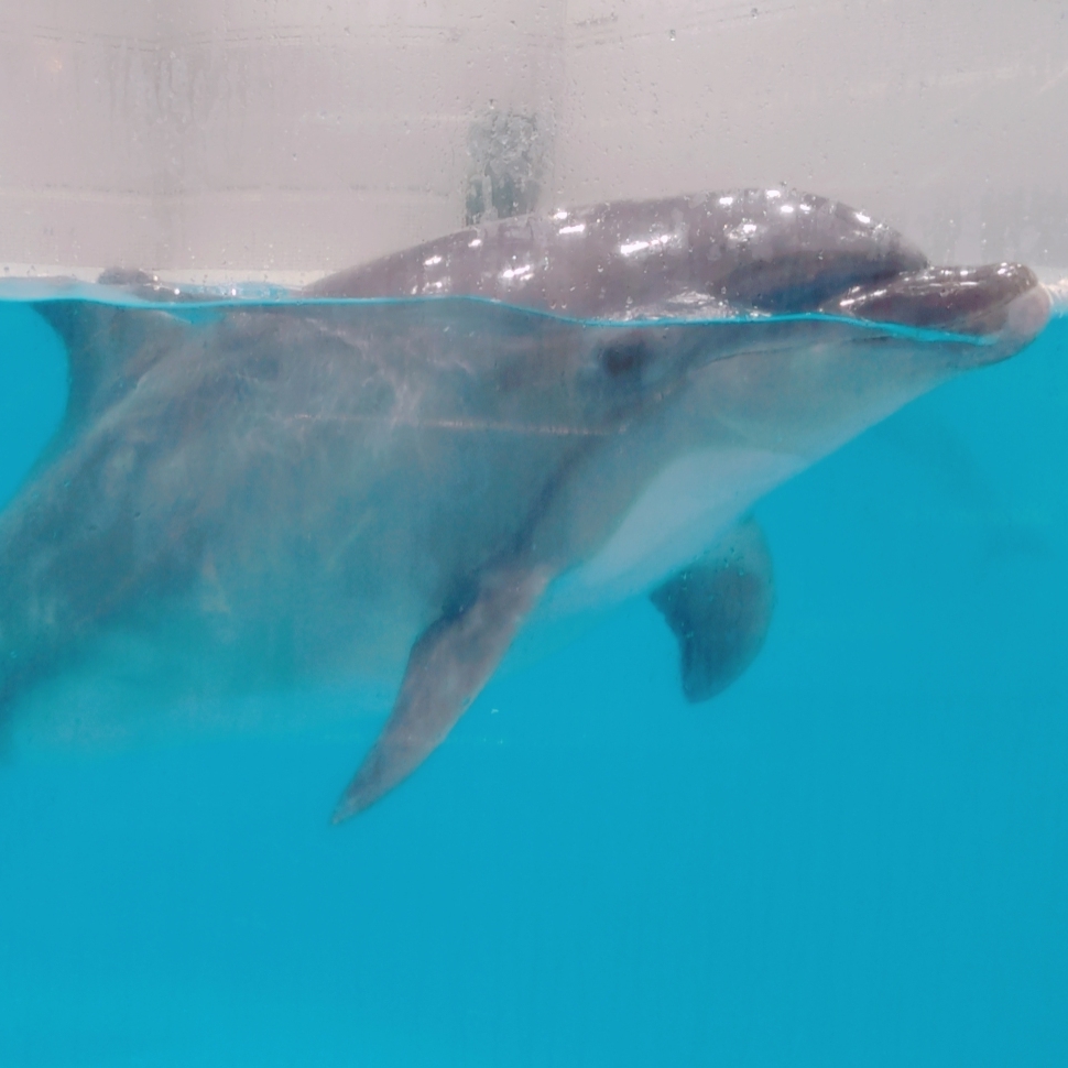 ゆあのタイムライン2025-04-19 15:16:19投稿画像