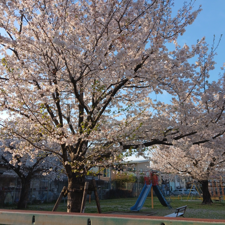 みさのタイムライン643680-04-07 05:55:35投稿画像