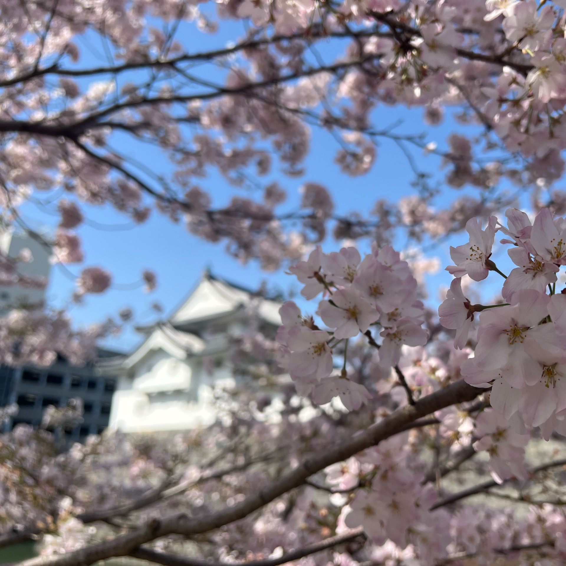 麗華のタイムライン643680-04-07 10:49:10投稿画像