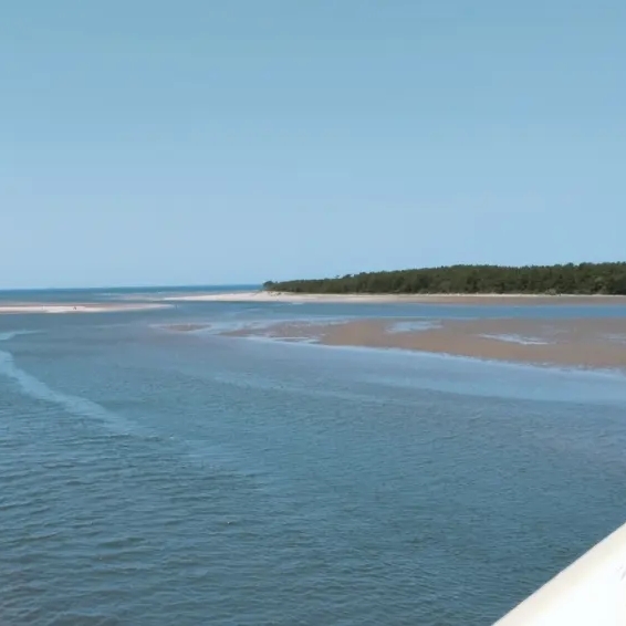 ゆあのタイムライン2025-05-06 17:01:23投稿画像