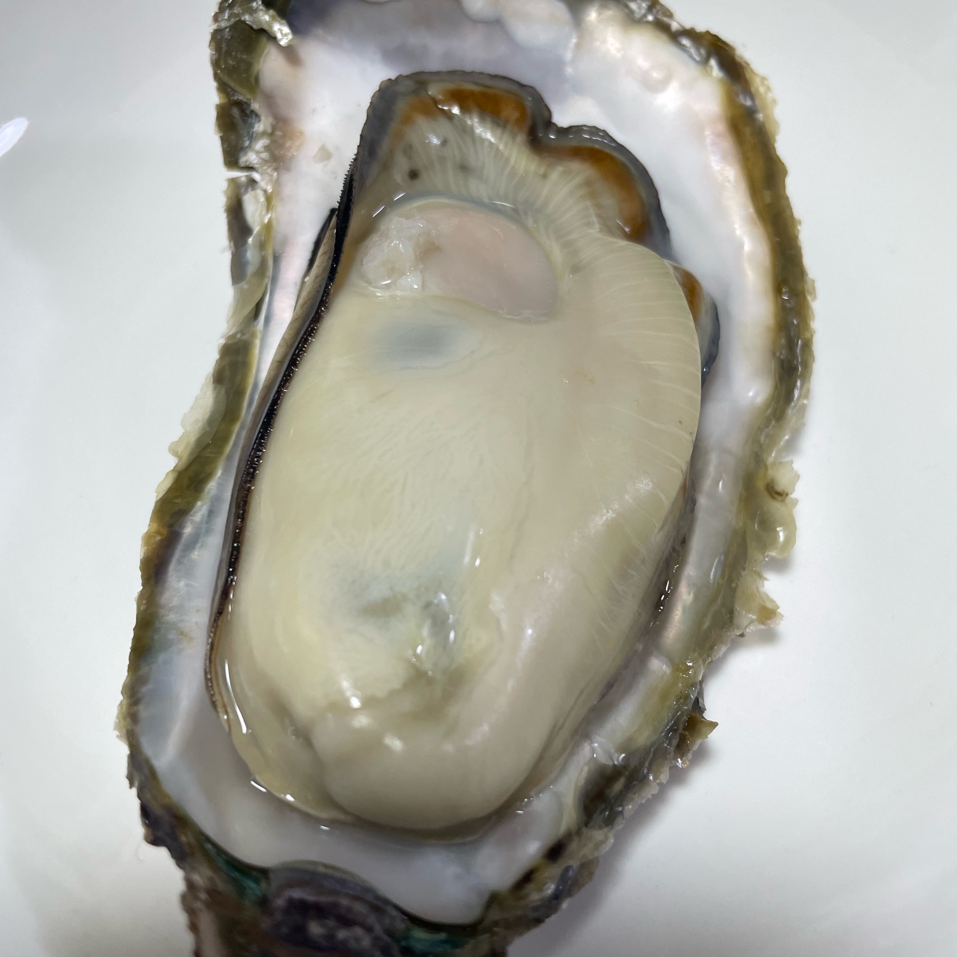 miiのタイムライン643683-03-08 19:29:15投稿画像