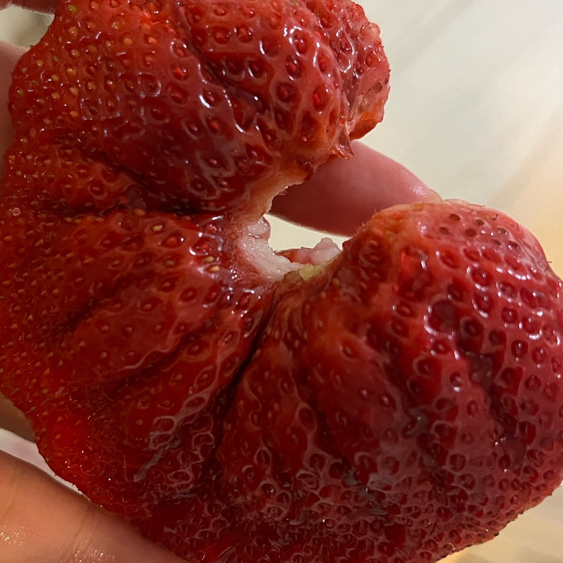 かれーの極のタイムライン643683-10-03 12:49:05投稿画像