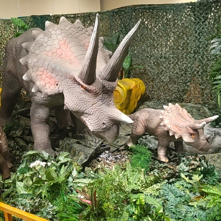 ゆあのタイムライン2025-05-30 21:07:17投稿画像