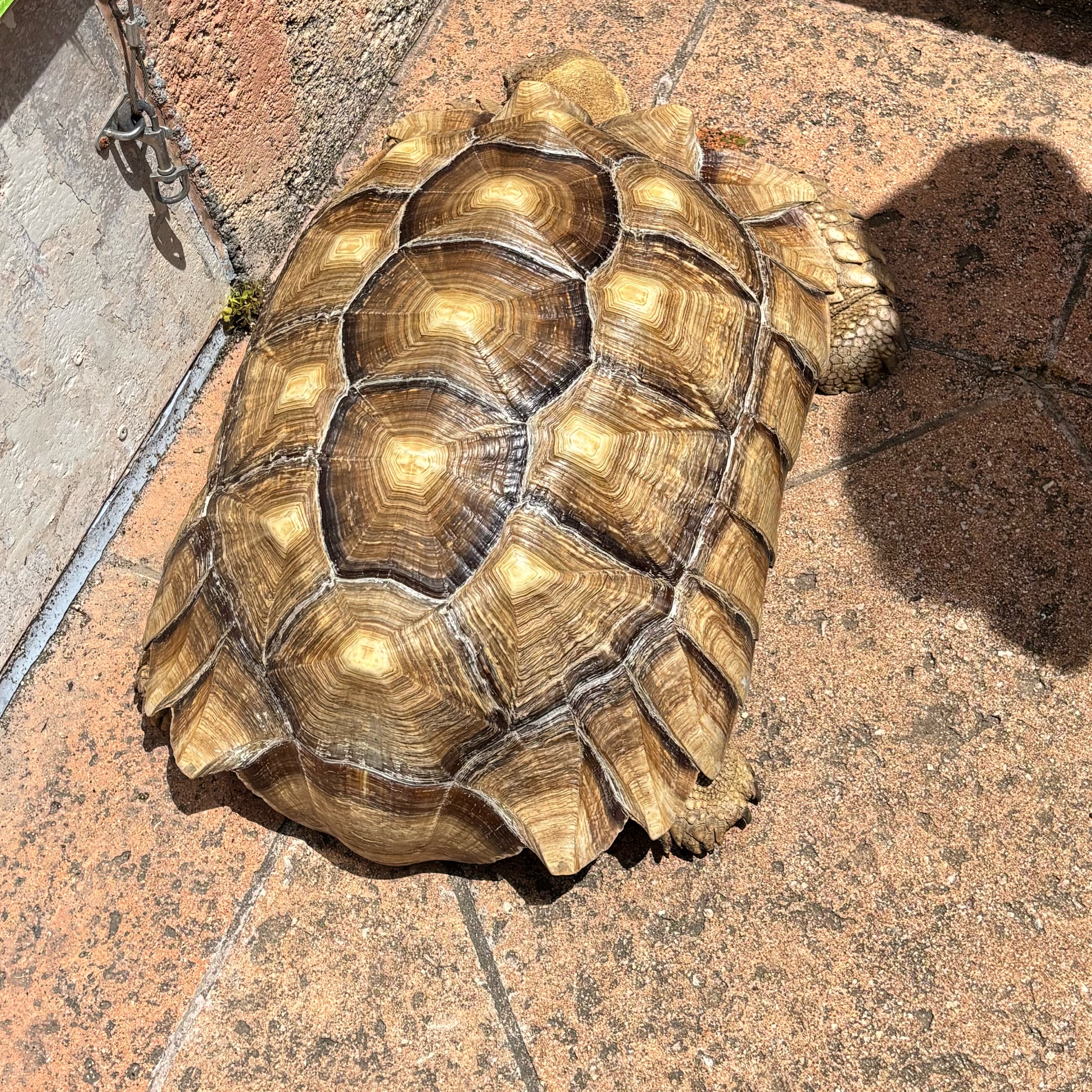 まりりんのタイムライン643686-08-19 21:39:16投稿画像