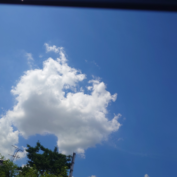 りえのタイムライン2025-06-27 05:25:40投稿画像