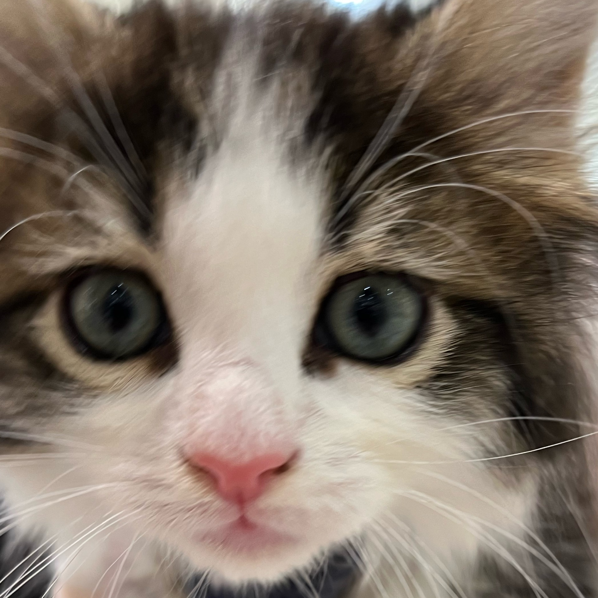 マリアのタイムライン643689-05-23 13:27:12投稿画像